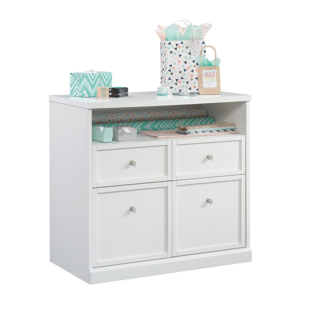 Craft Pro Series Storage Cabinet