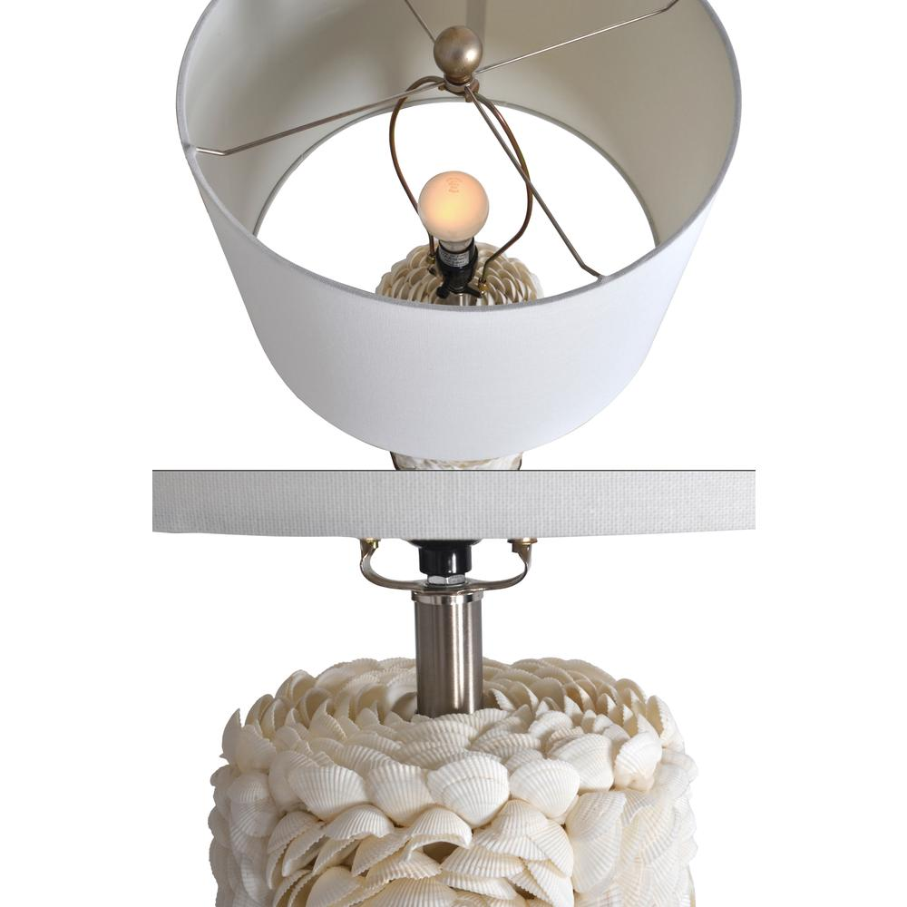 Pair of Shell Lamps