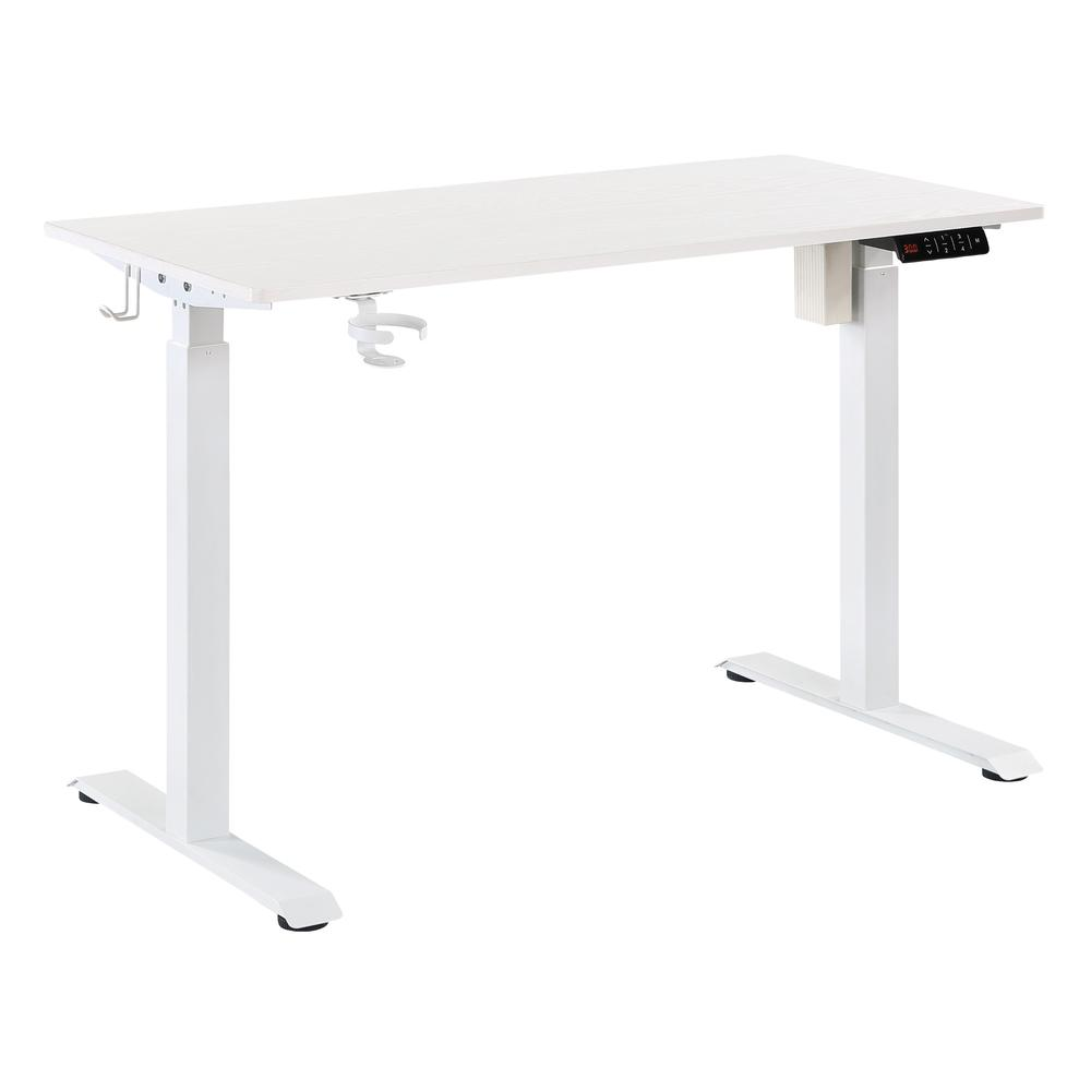 Primo 48" Sit-to-Stand Elec Desk