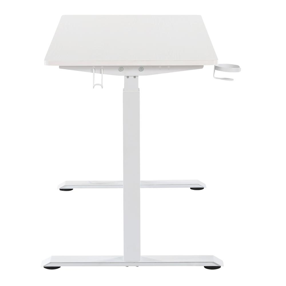 Primo 48" Sit-to-Stand Elec Desk